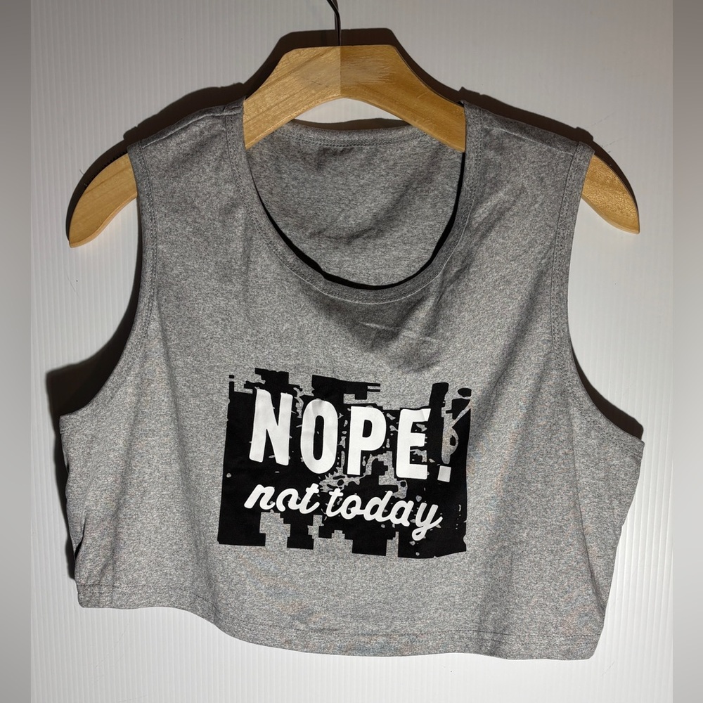 Gray Sleeveless Crop Top